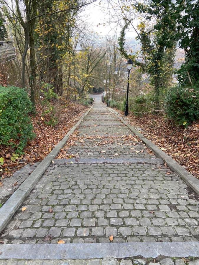 Vakantiewoning De Kassei Geraardsbergen Max 12Personen Esterno foto